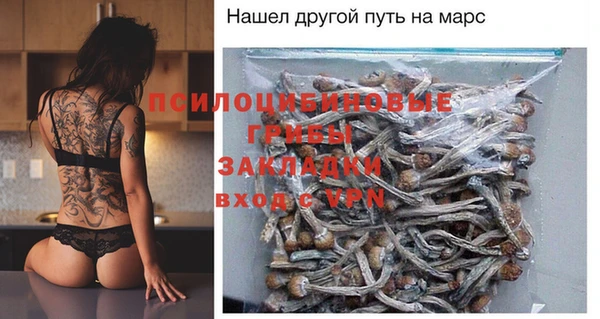 экстази Няндома